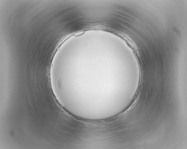 X0000115591481200912221059