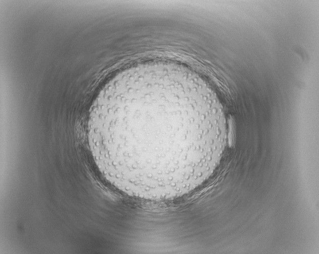 X0000115591491200912221058