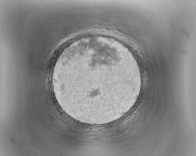X0000115591494200912221058