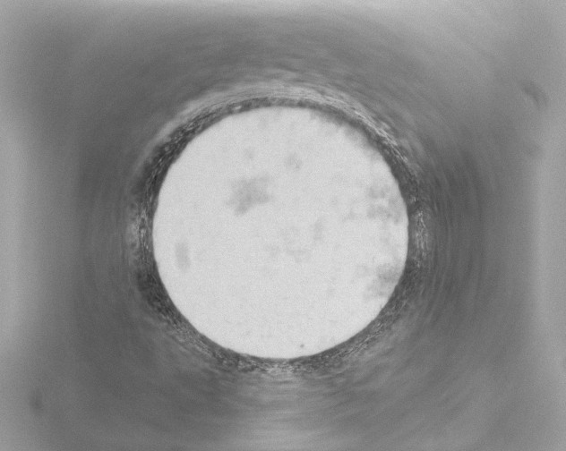 X0000115591495200912221058