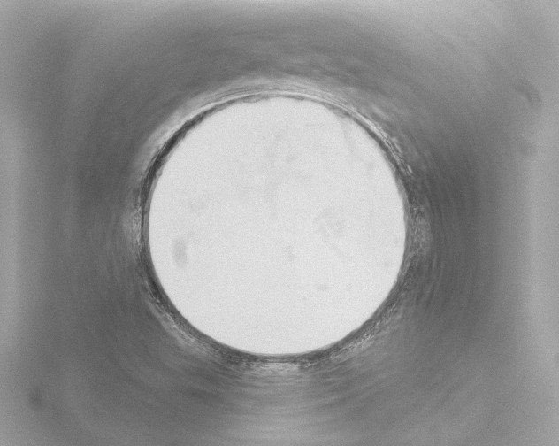 X0000115591503200912221058