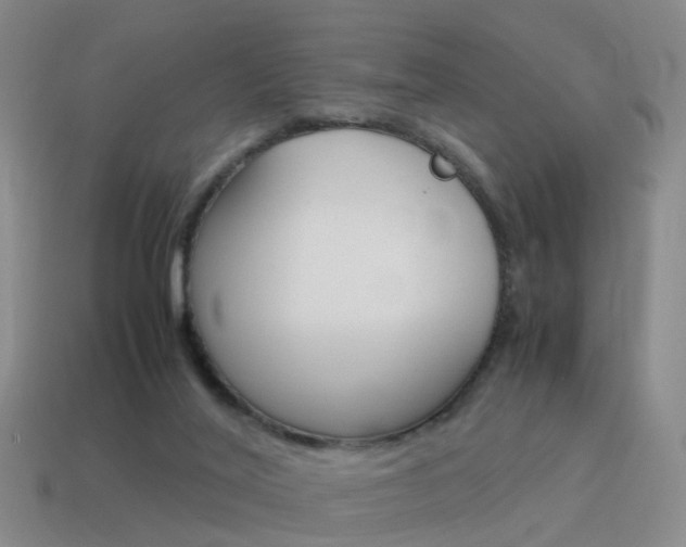 X0000115600020200911101001