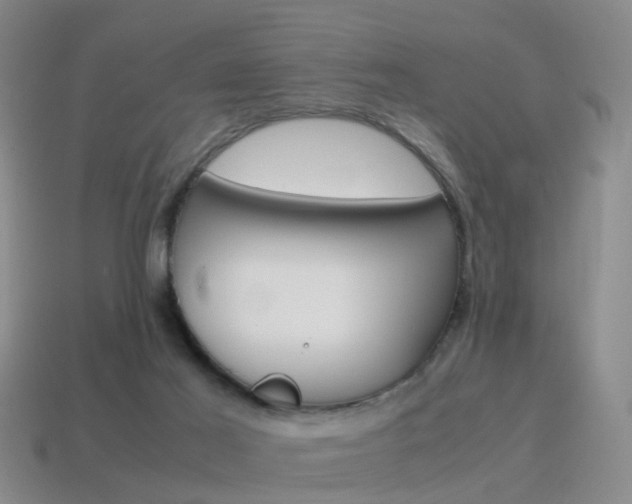 X0000115600021200911101001