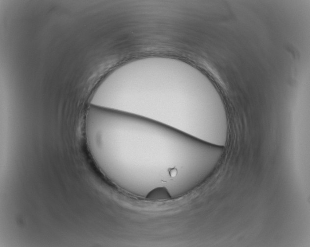 X0000115600023200911101001