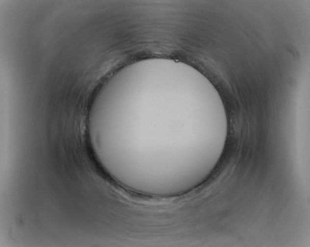 X0000115600032200911101001
