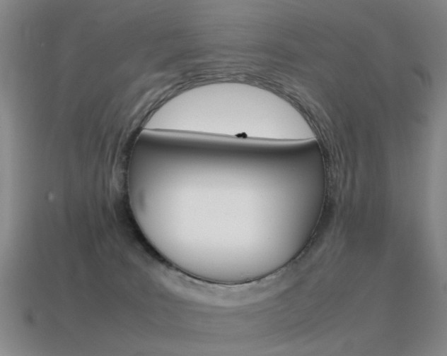 X0000115600035200911101001