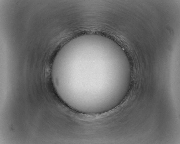 X0000115600037200911101001