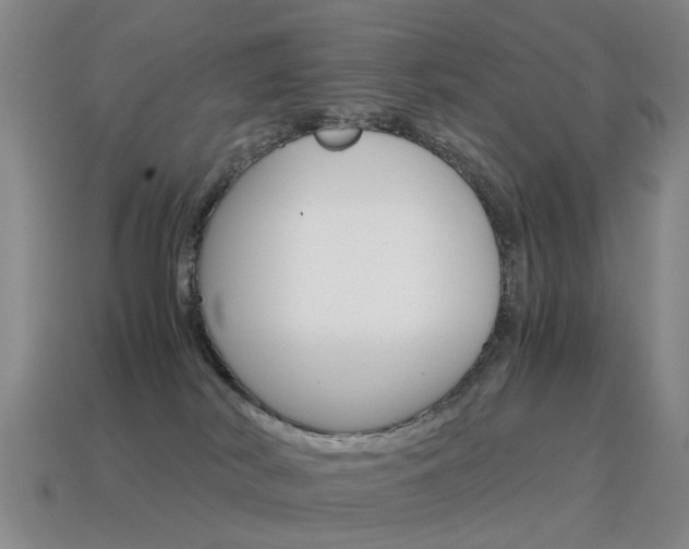 X0000115600038200911101001