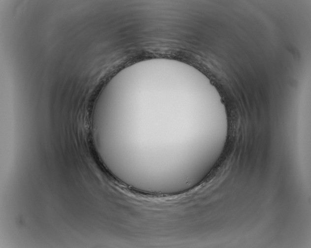 X0000115600040200911101001