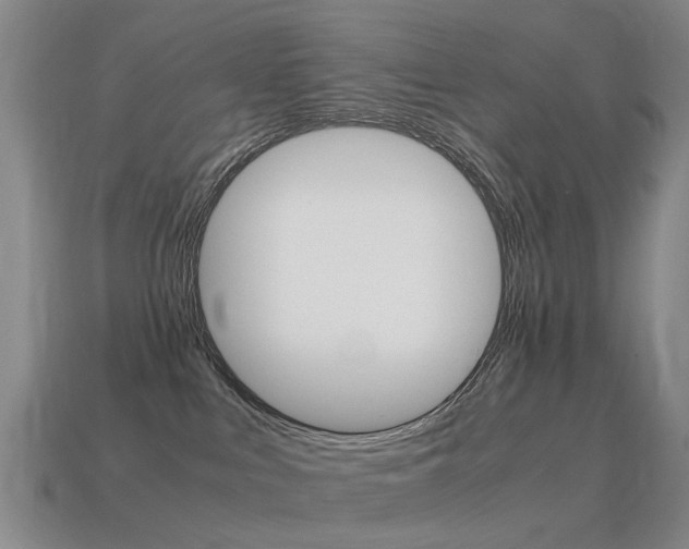 X0000115600043200911101001