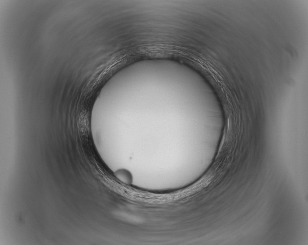 X0000115600048200911101001