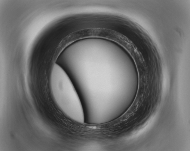 X0000115600050200911101000
