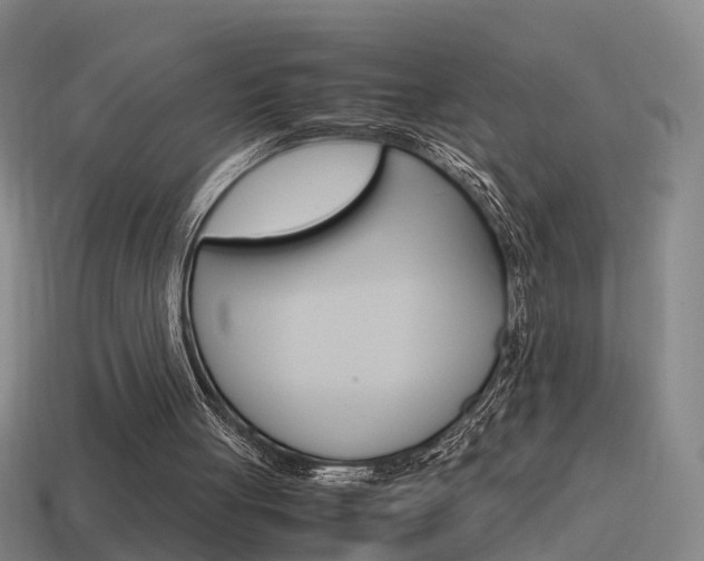 X0000115600051200911101000
