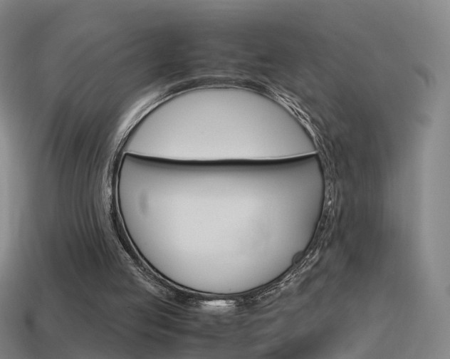 X0000115600053200911101000