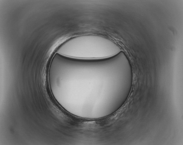 X0000115600054200911101000
