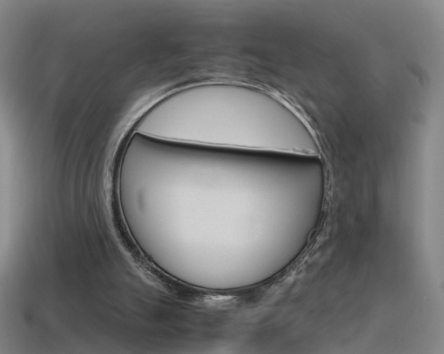 X0000115600055200911101000