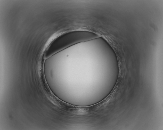 X0000115600056200911101000