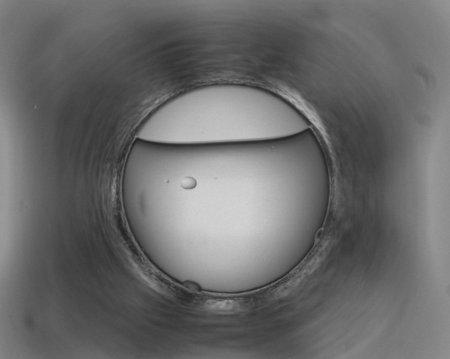 X0000115600057200911101000