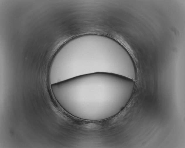 X0000115600058200911101000