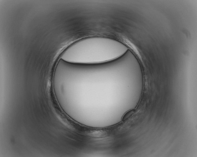 X0000115600059200911101000