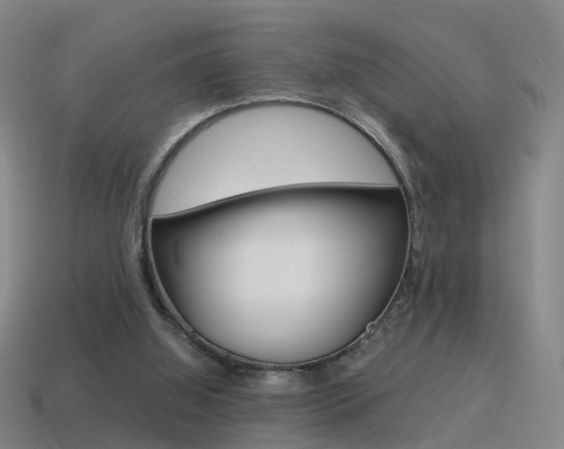 X0000115600060200911101000
