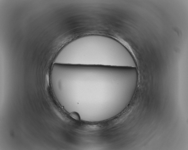 X0000115600061200911101000