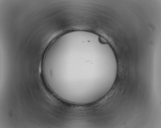X0000115600062200911101000