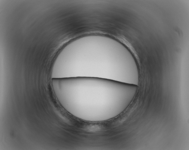 X0000115600063200911101000