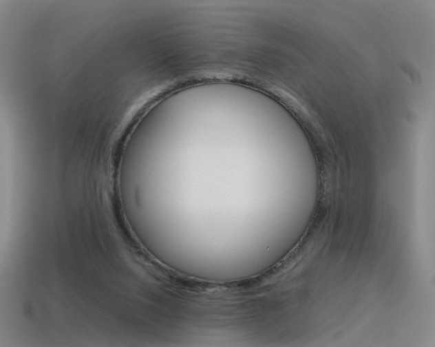 X0000115600064200911101000