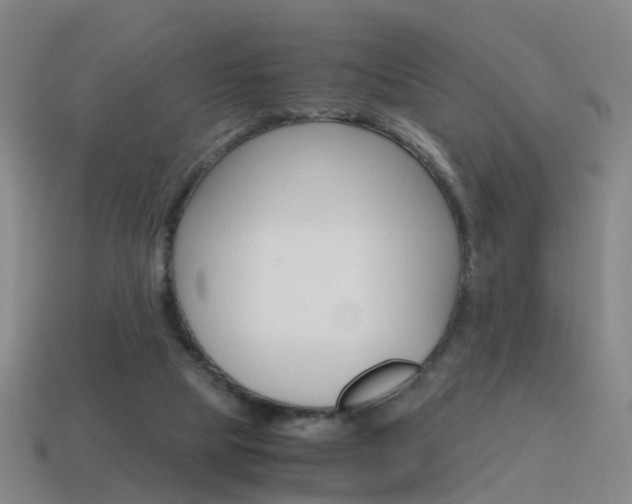 X0000115600065200911101000