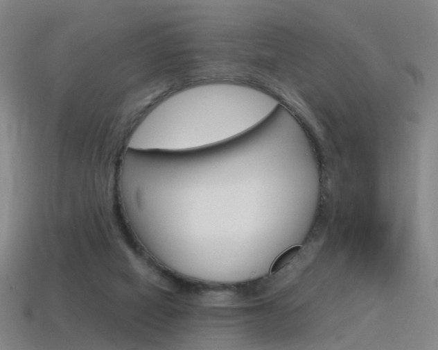 X0000115600066200911101000