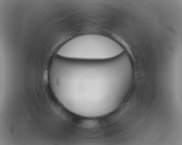 X0000115600067200911101000
