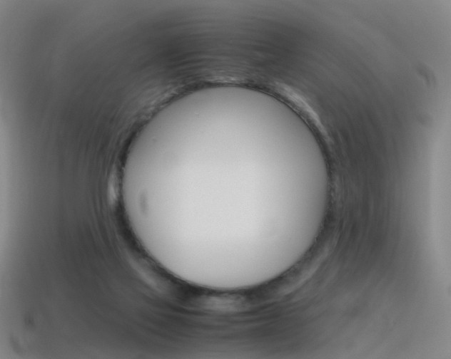 X0000115600069200911101000
