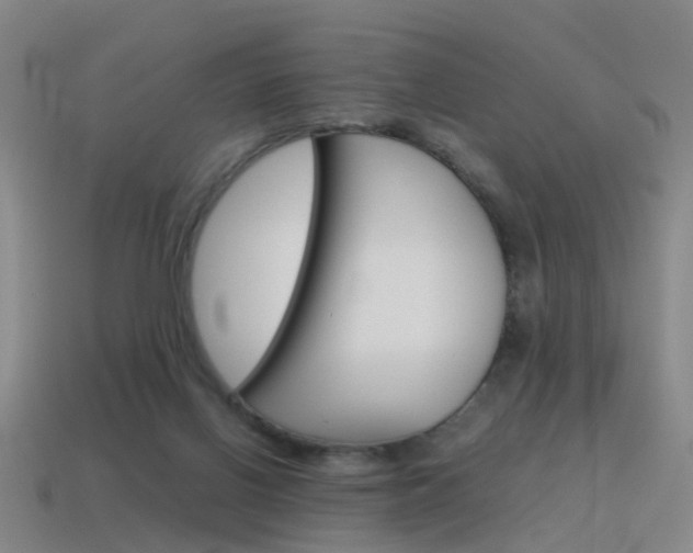 X0000115600070200911101000