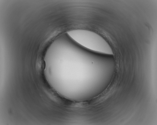 X0000115600072200911101000