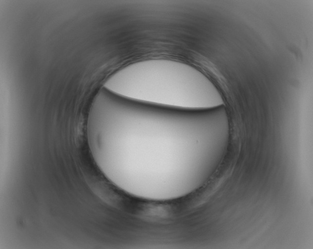 X0000115600073200911101000