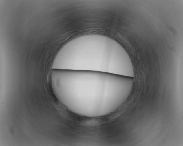 X0000115600075200911101000