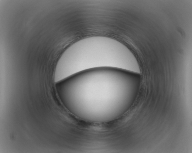 X0000115600076200911101000