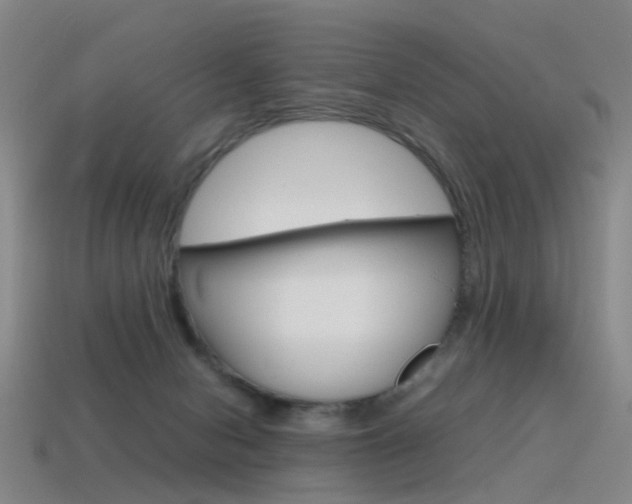 X0000115600078200911101000