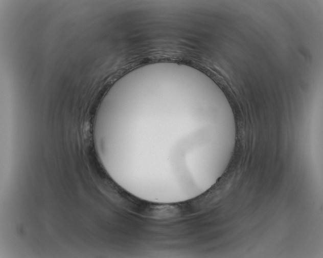 X0000115600087200911101001