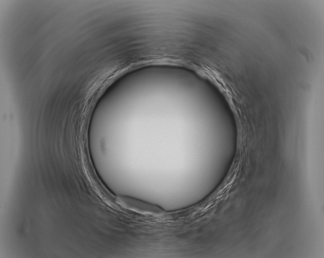 X0000115600097200911101000