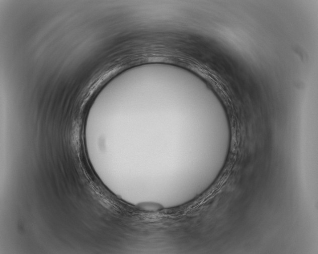 X0000115600098200911101000