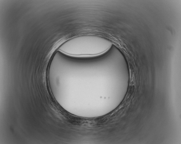 X0000115600099200911101000