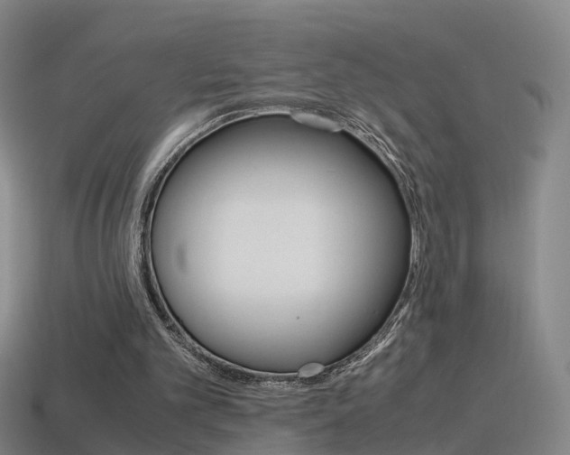 X0000115600101200911101000