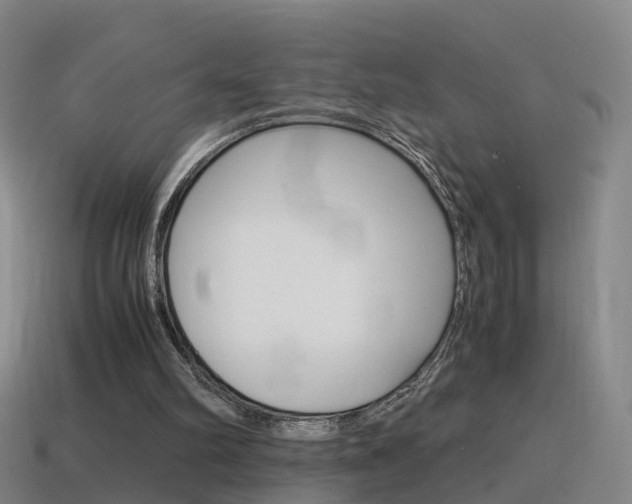 X0000115600102200911101000
