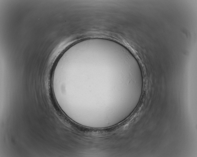 X0000115600103200911101000