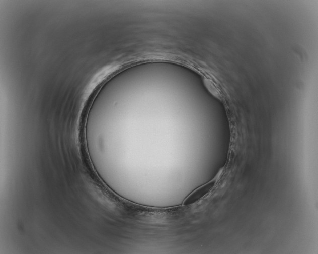 X0000115600104200911101000