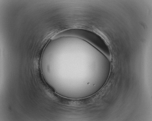 X0000115600105200911101000
