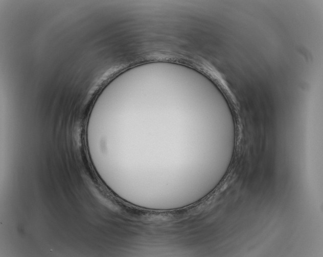 X0000115600106200911101000