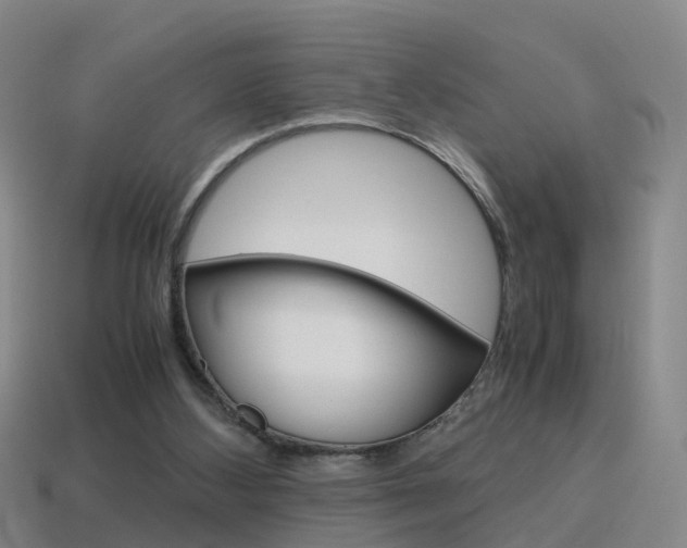 X0000115600108200911101000